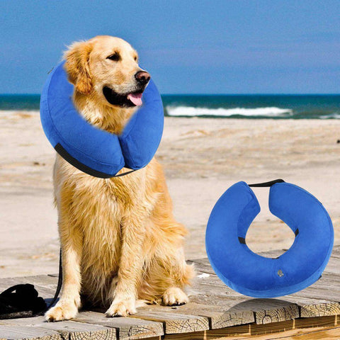 Aufblasbarer Hundehalsband