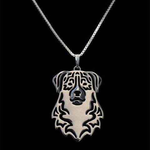 Chien de berger australien