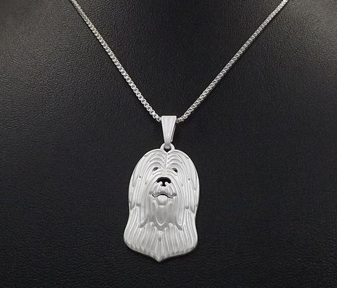 Collier pour chien Briard