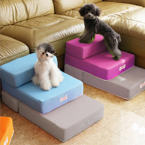 Hunde Treppe