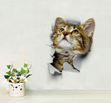 3D Katzen Aufkleber