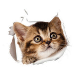 3D Katzen Aufkleber