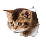 3D Katzen Aufkleber